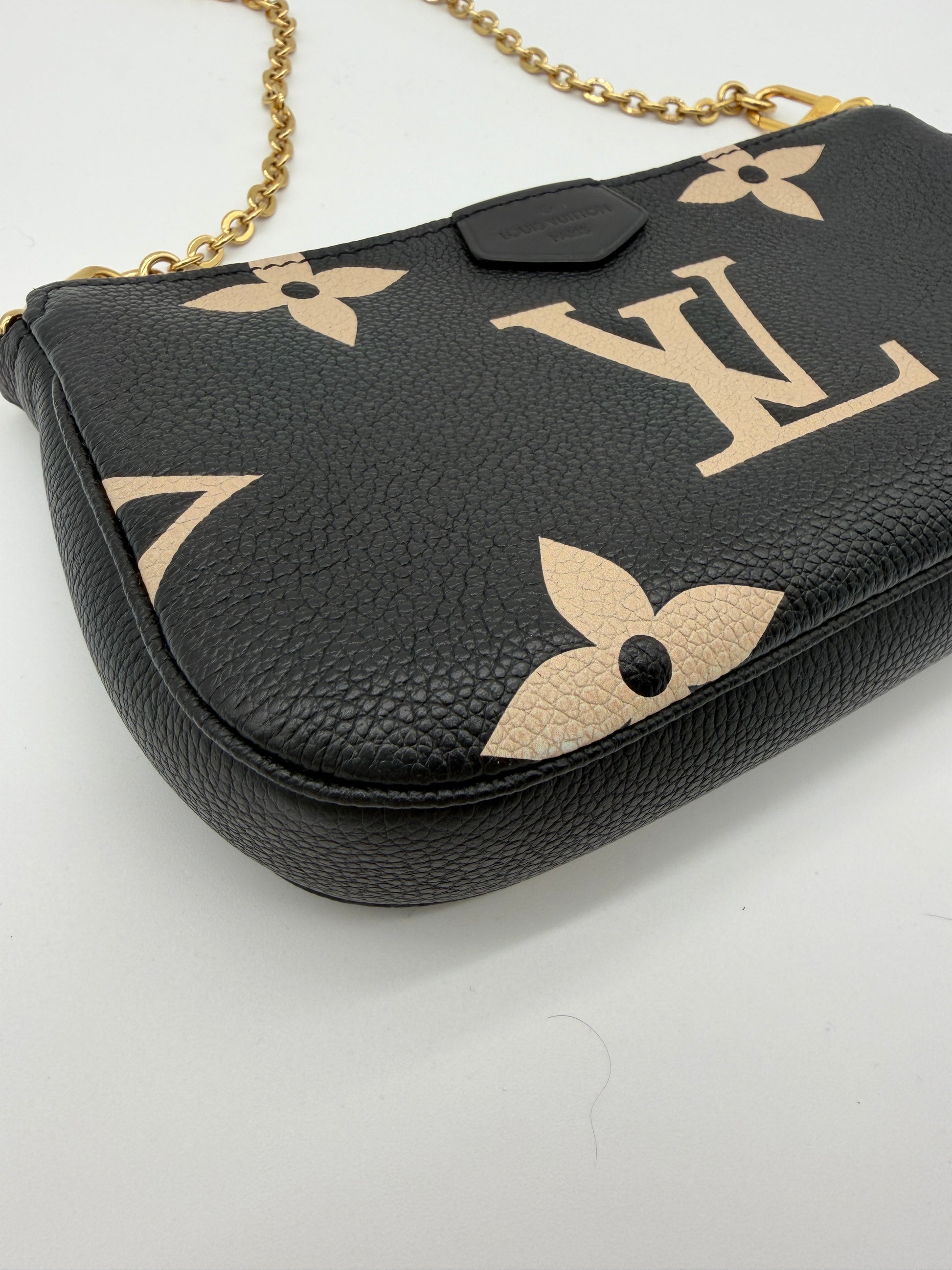 Louis Vuitton Bicolor Pochette
