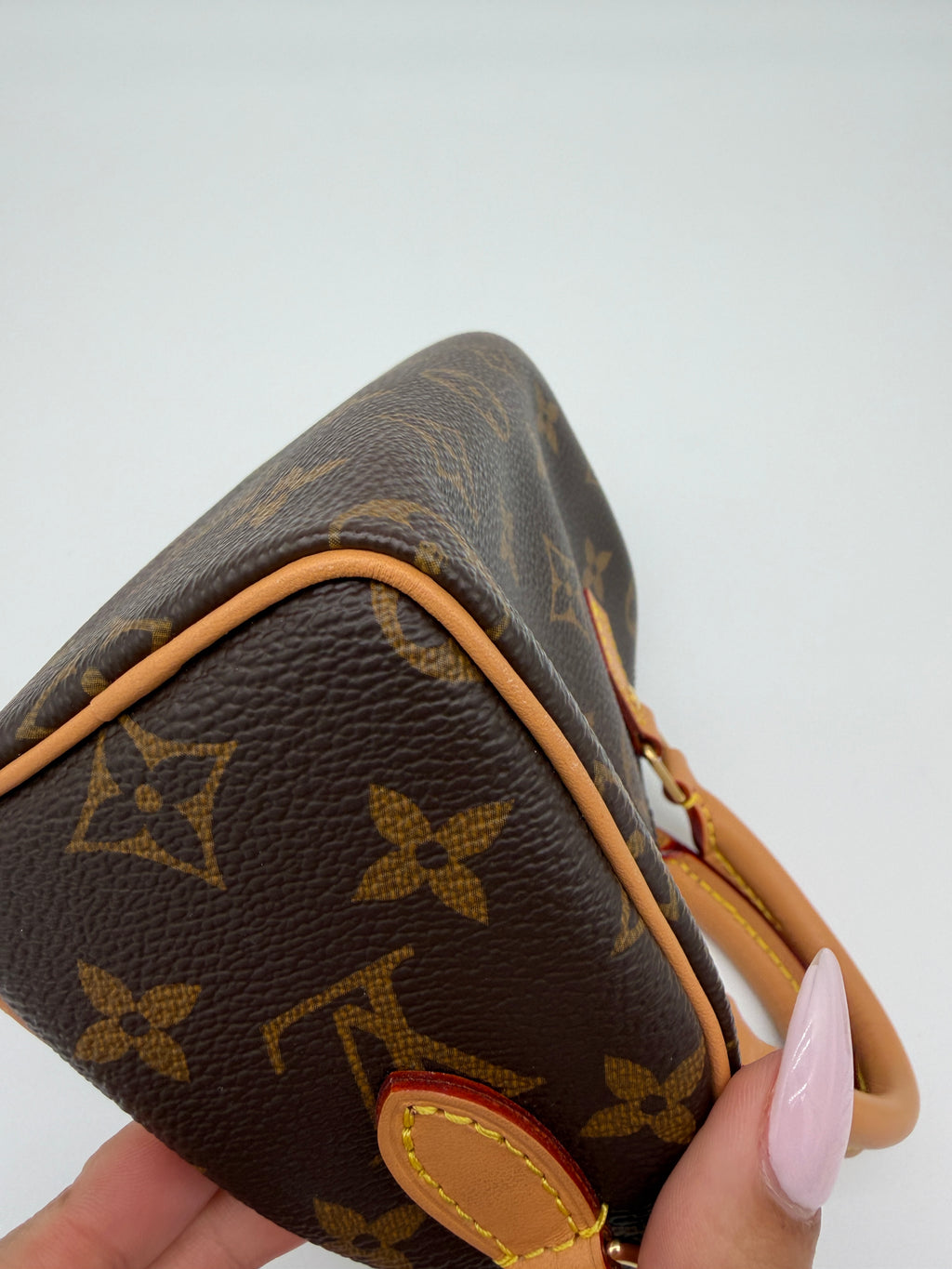 Louis Vuitton Monogram Speedy Nano