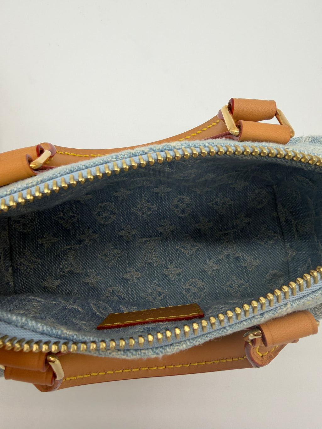 Louis Vuitton Denim Speedy Nano