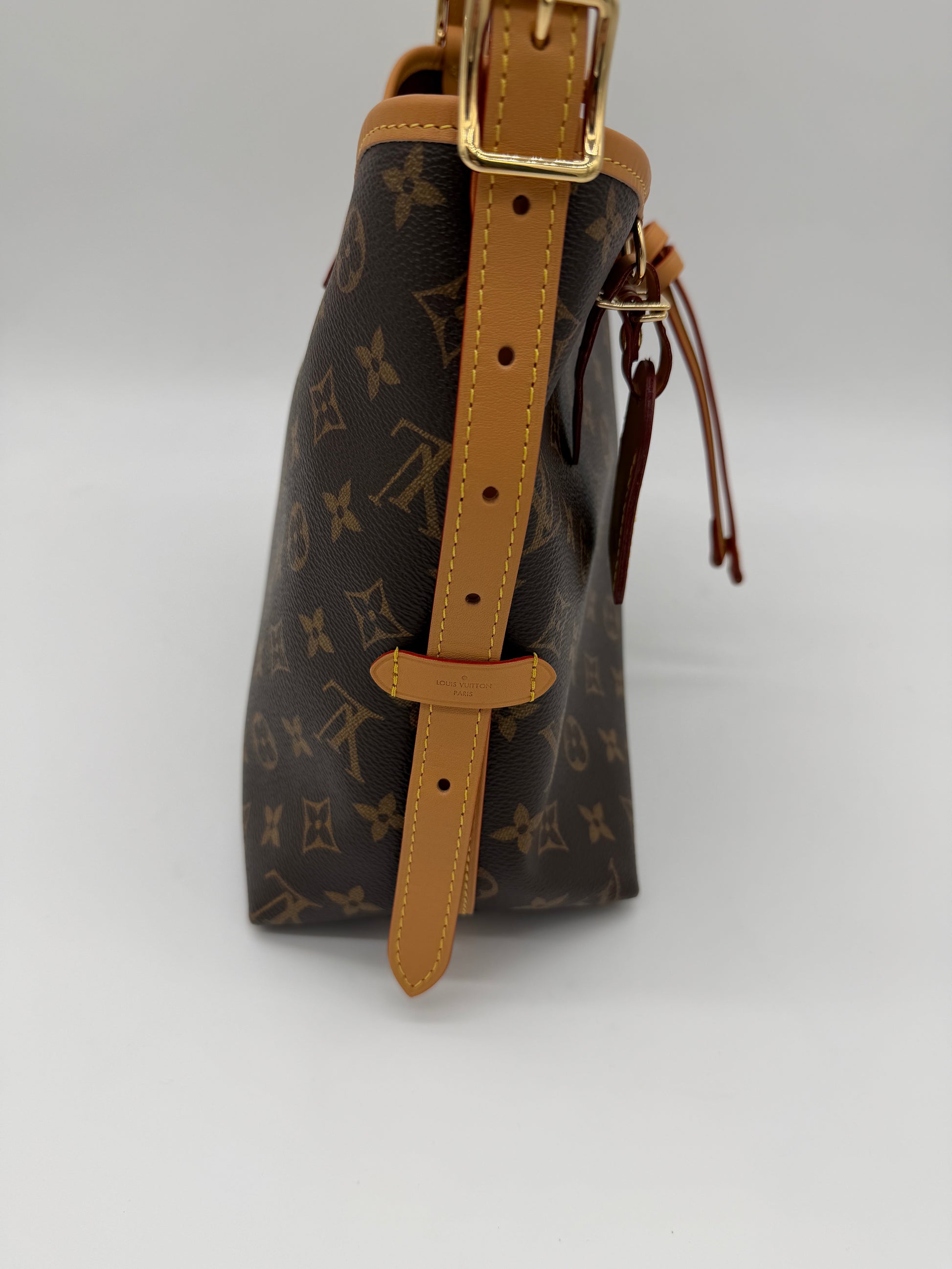 Louis Vuitton Monogram Carryall PM