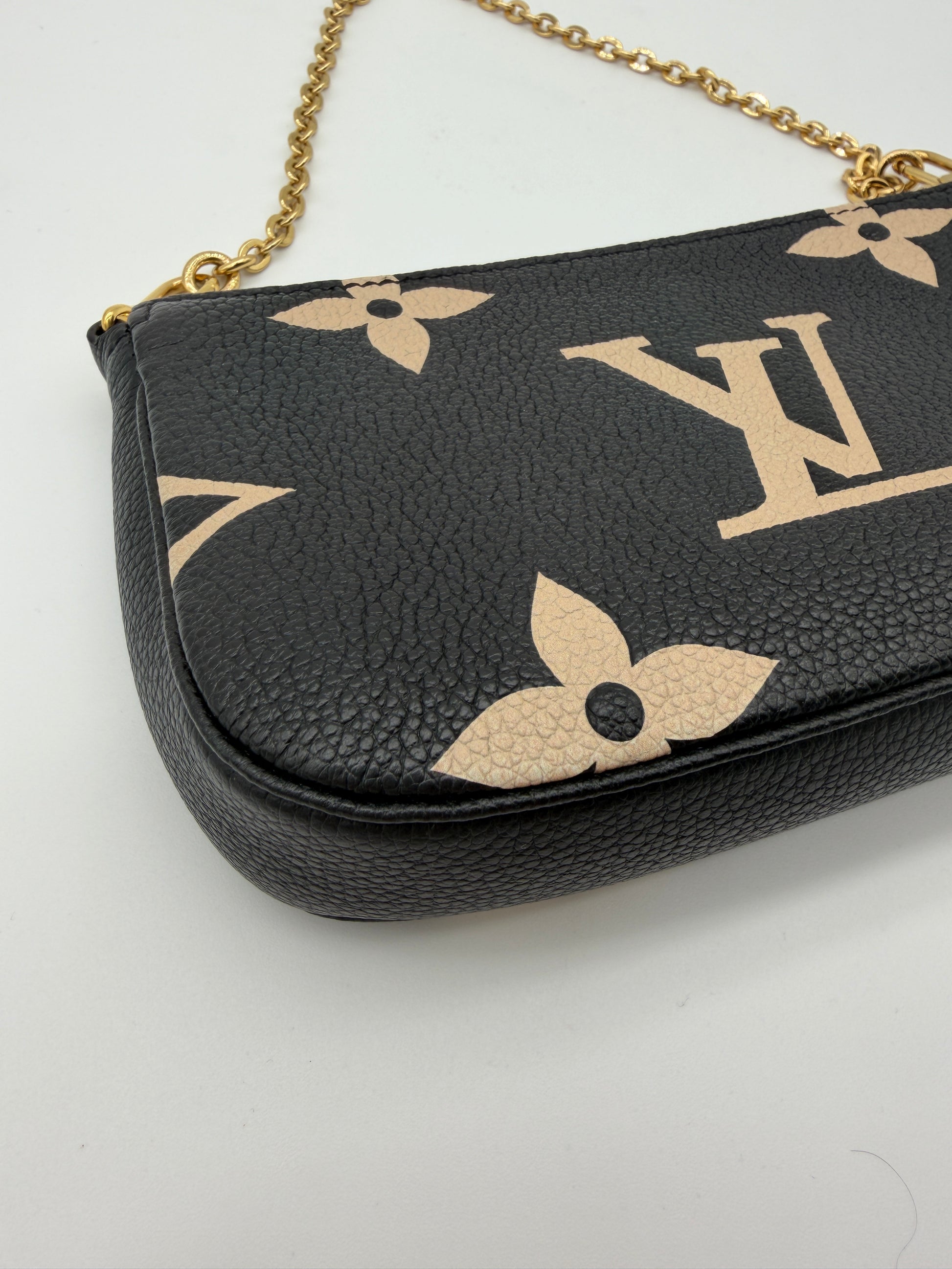 Louis Vuitton Bicolor Pochette