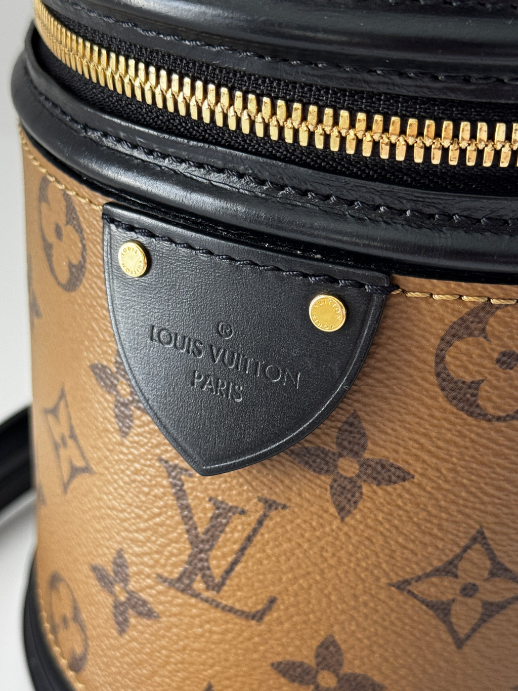 Louis Vuitton Cannes Reverse Monogram