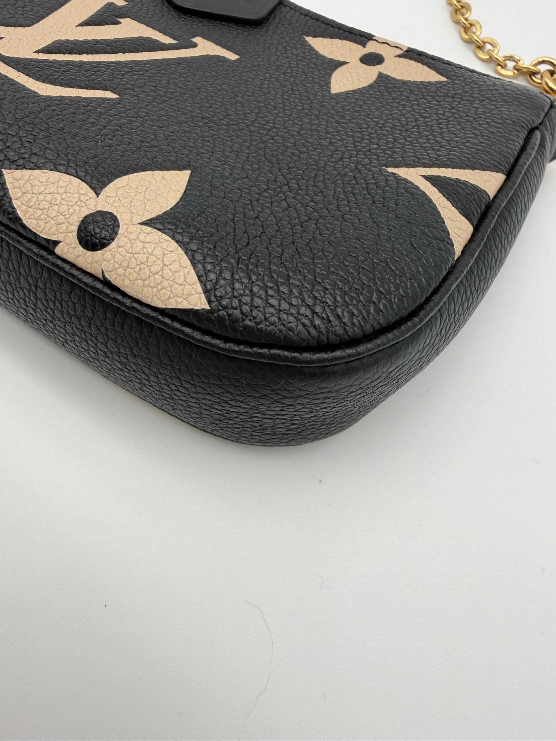 Louis Vuitton Bicolor Pochette