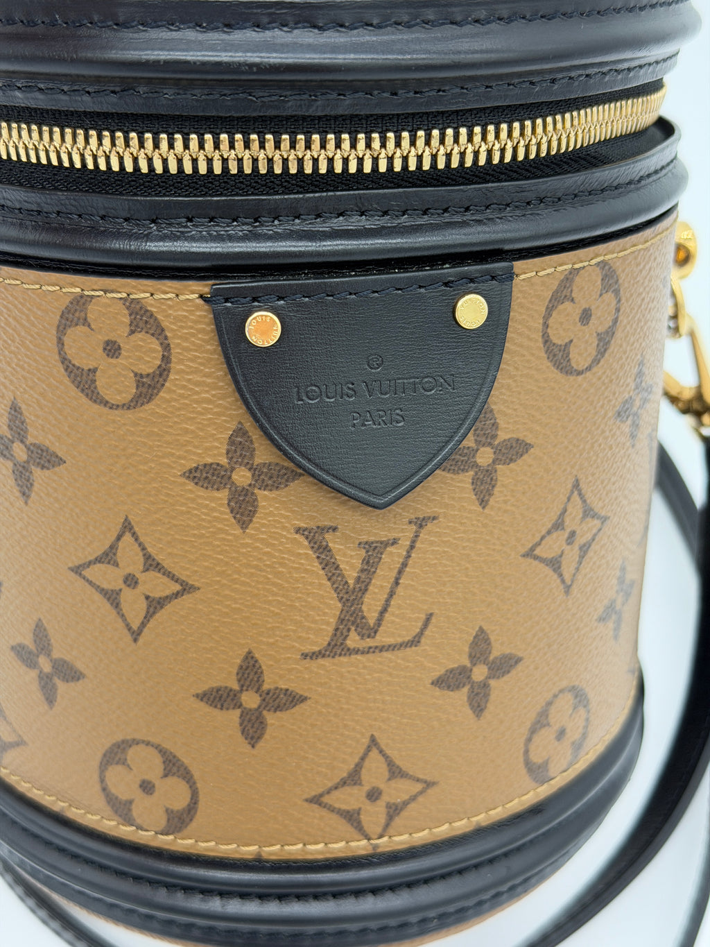 Louis Vuitton Reverse Monogram Cannes Bucket Bag