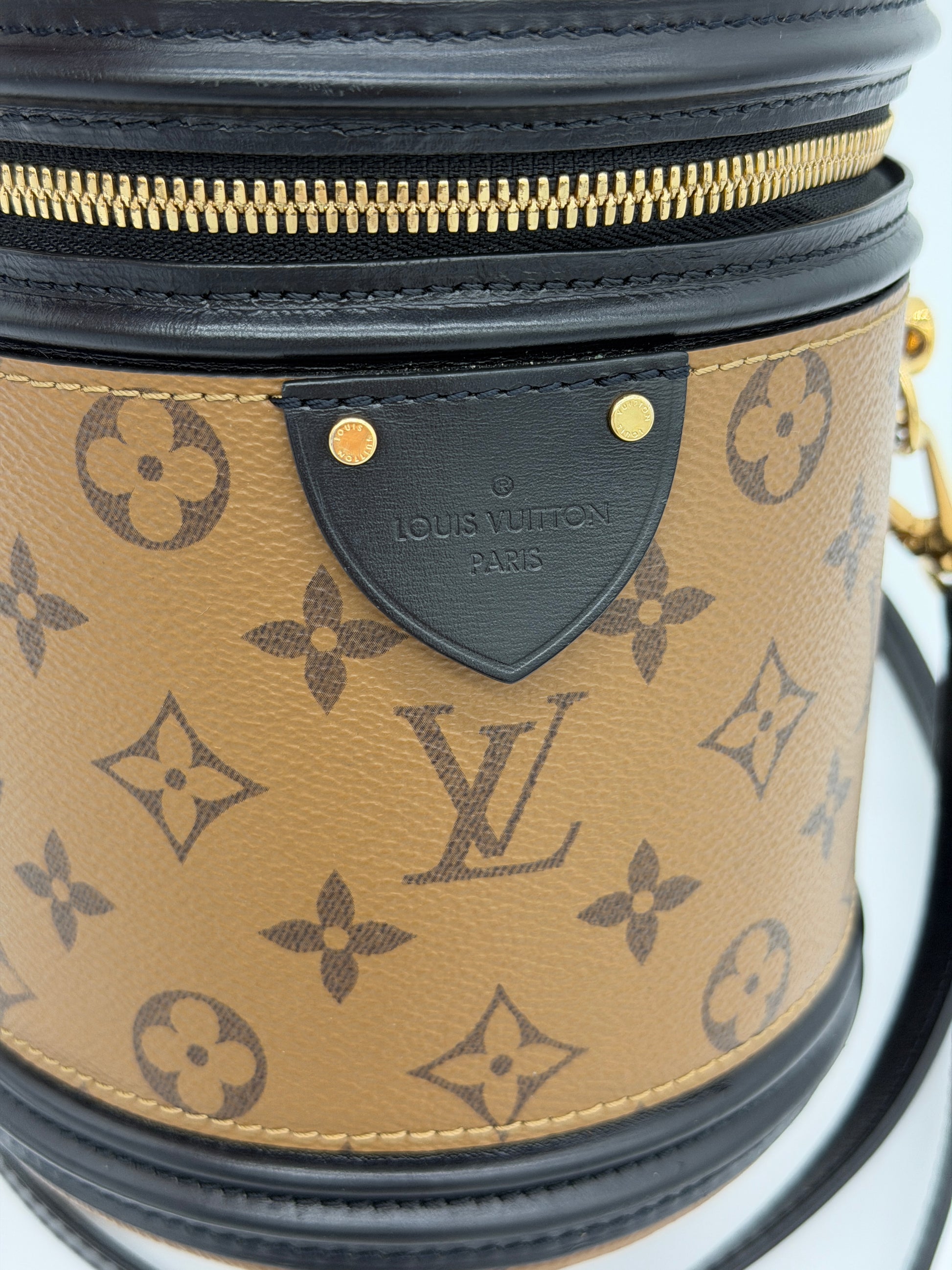 Louis Vuitton Reverse Monogram Cannes Bucket Bag