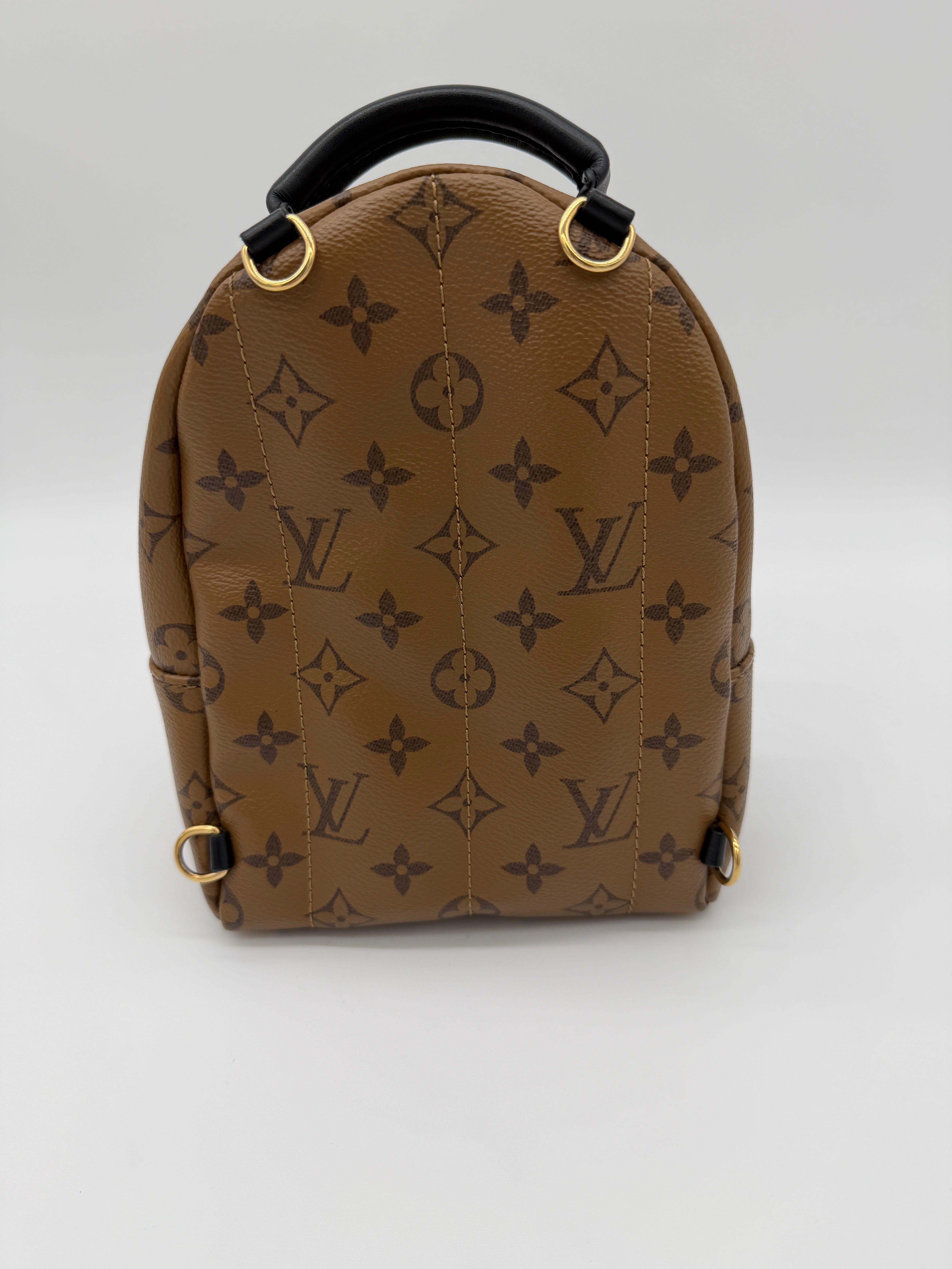 Louis Vuitton Palm Springs Mini Reverse Monogram