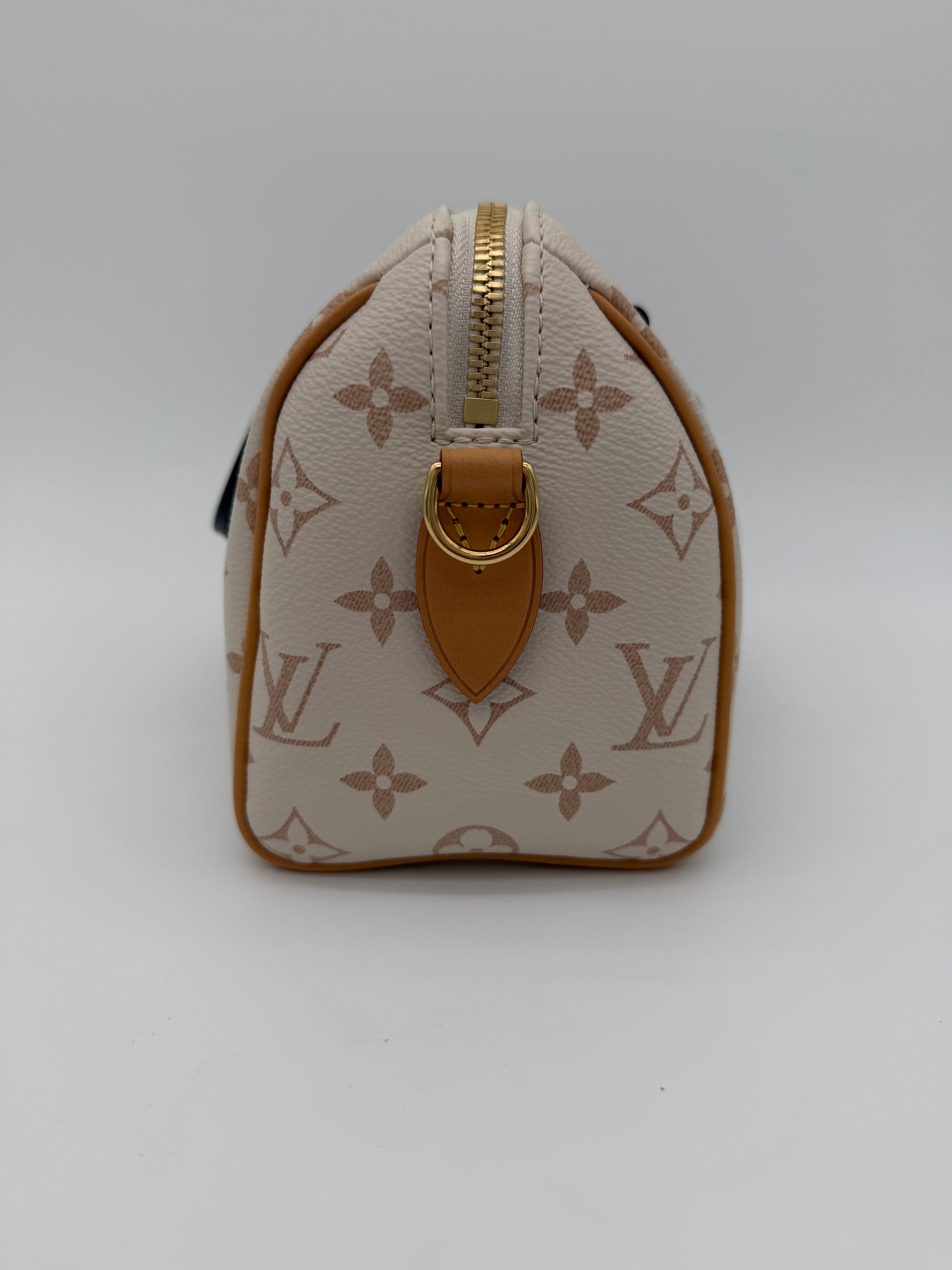 Louis Vuitton Speedy 20 Dune