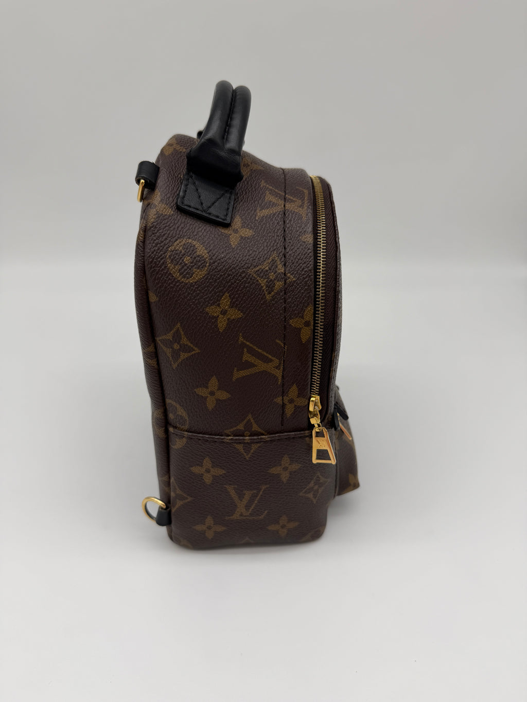 Louis Vuitton Monogram Palm Springs Mini