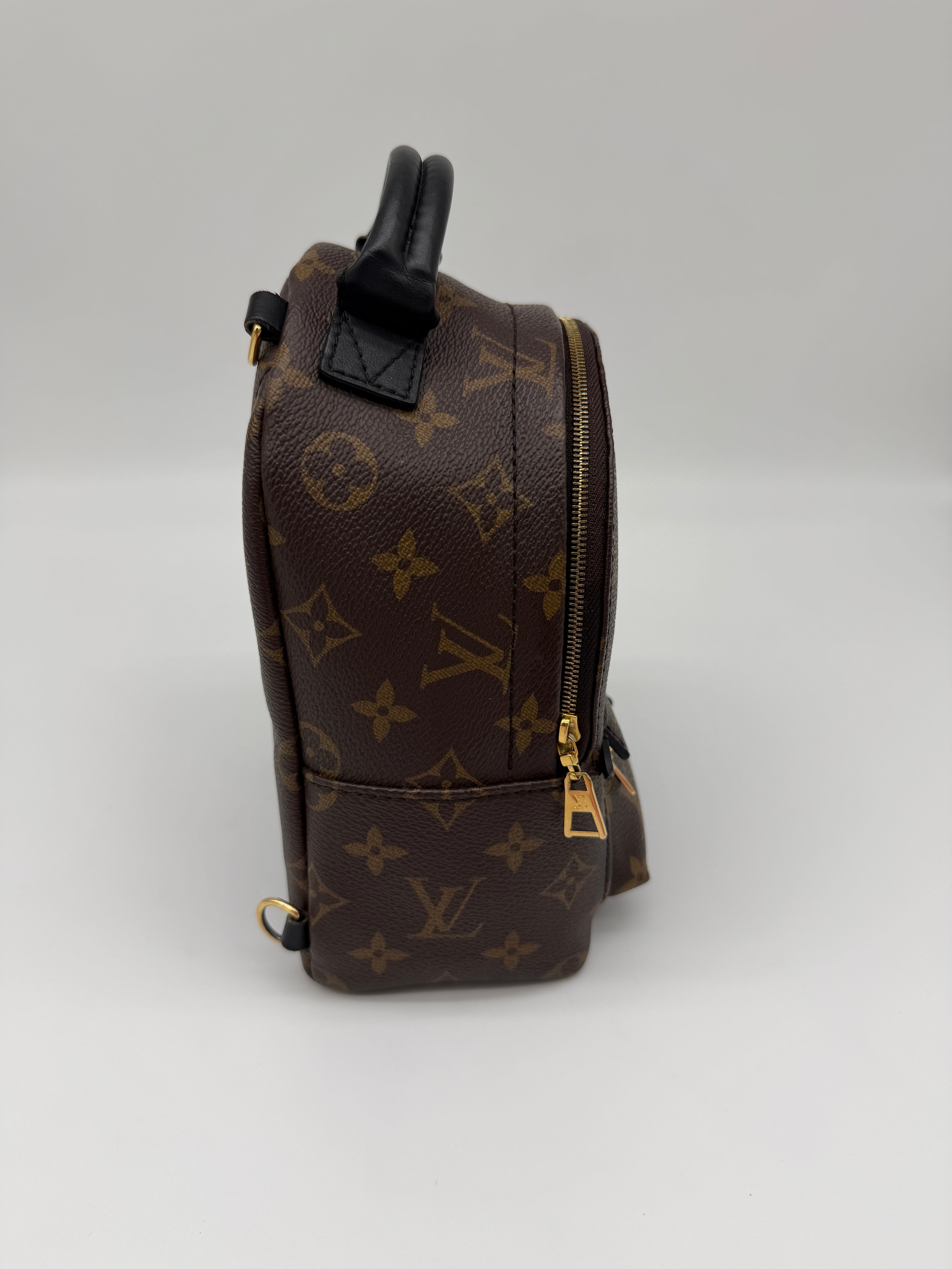 Louis Vuitton Monogram Palm Springs Mini