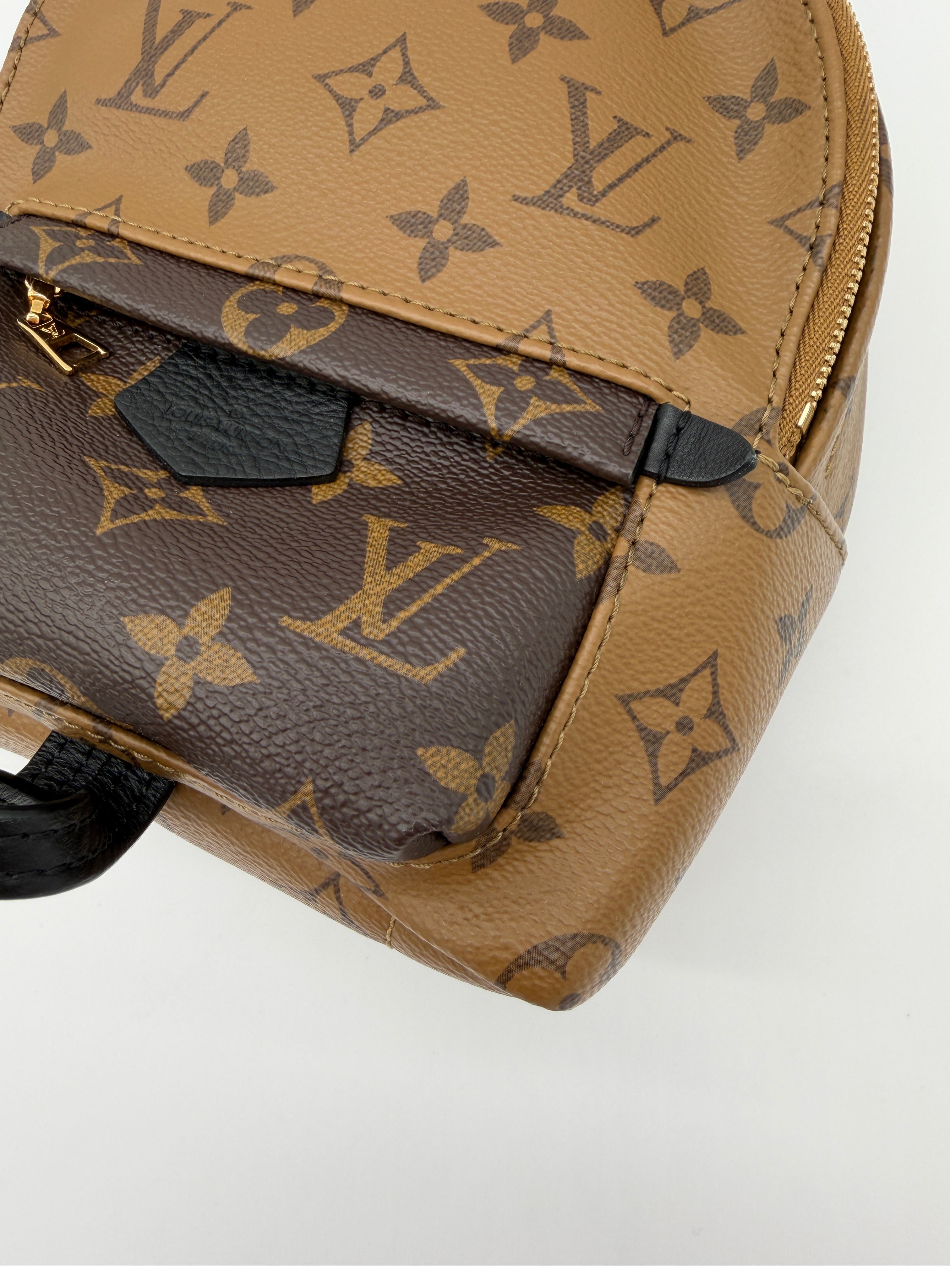 Louis Vuitton Palm Springs Mini Reverse Monogram
