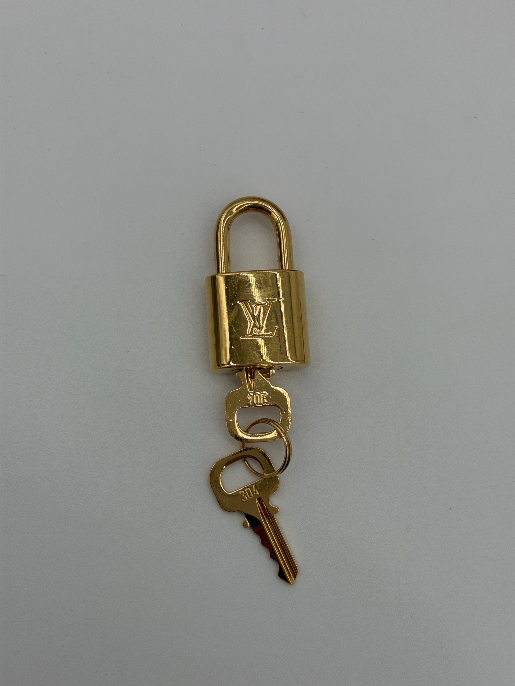 Louis Vuitton Speedy 20 Dune