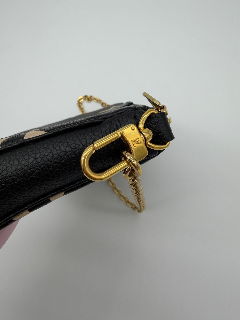 Louis Vuitton Bicolor Pochette