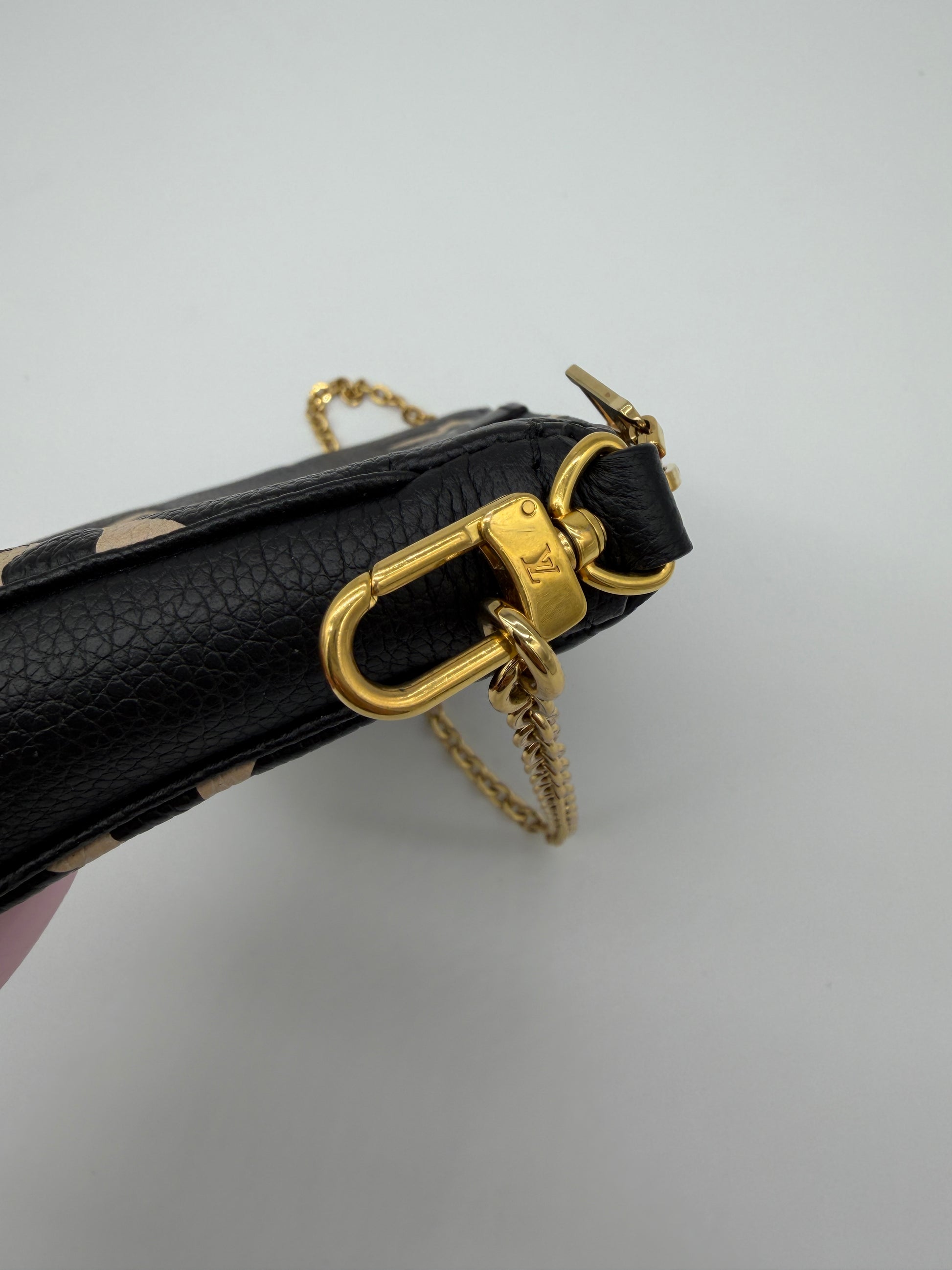 Louis Vuitton Bicolor Pochette