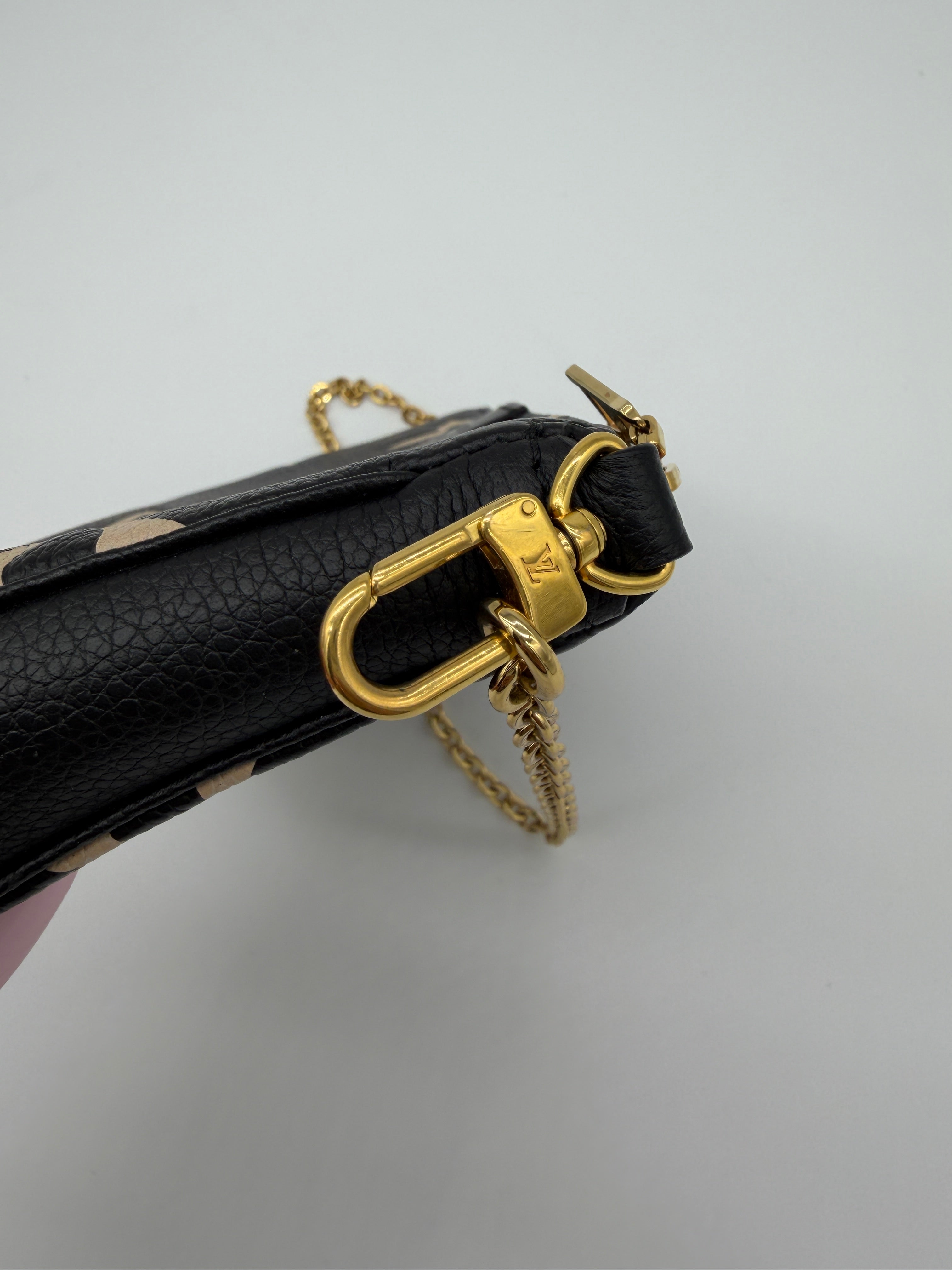 Louis Vuitton Bicolor Pochette