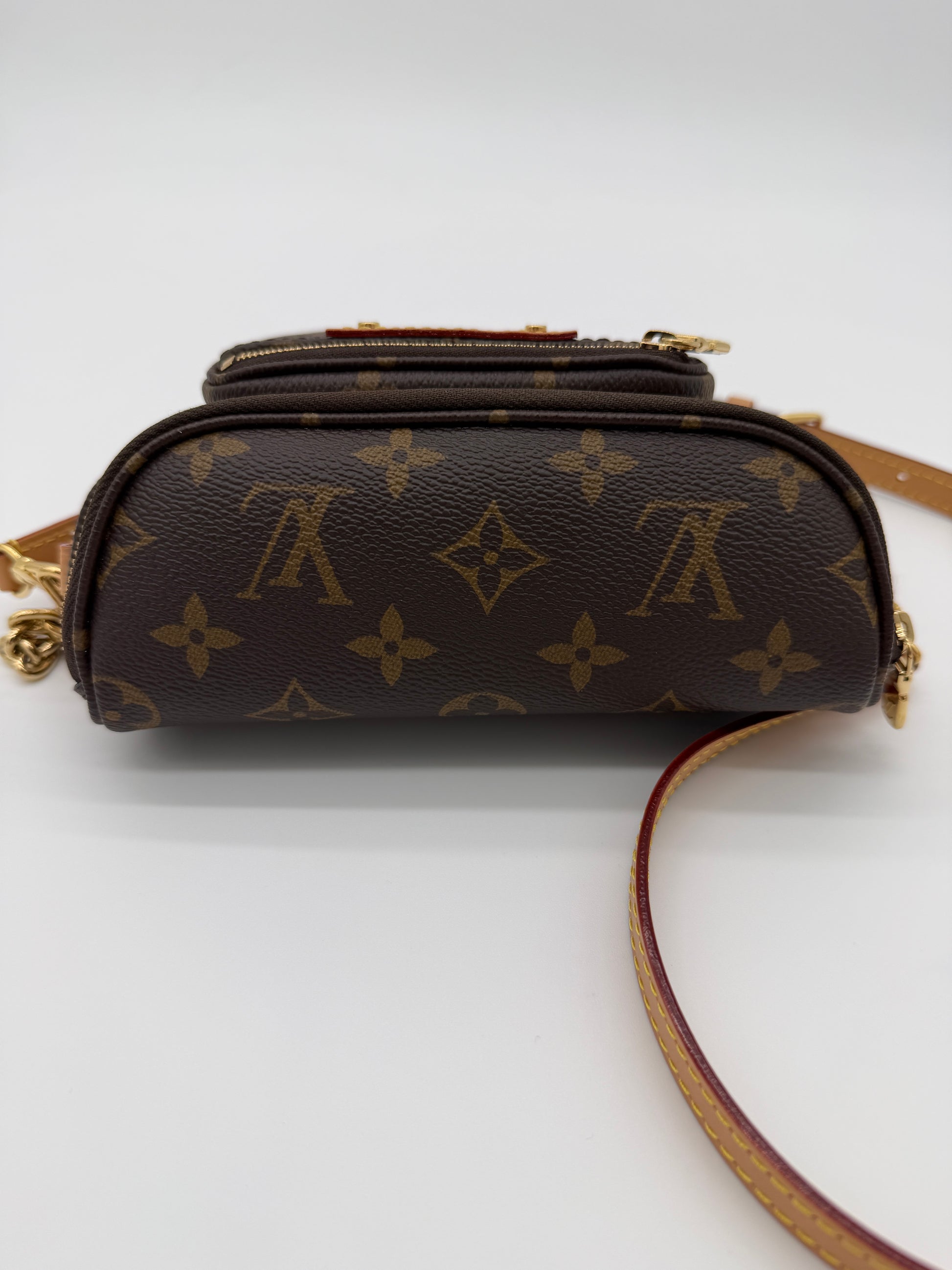 Louis Vuitton Monogram Mini Bumbag