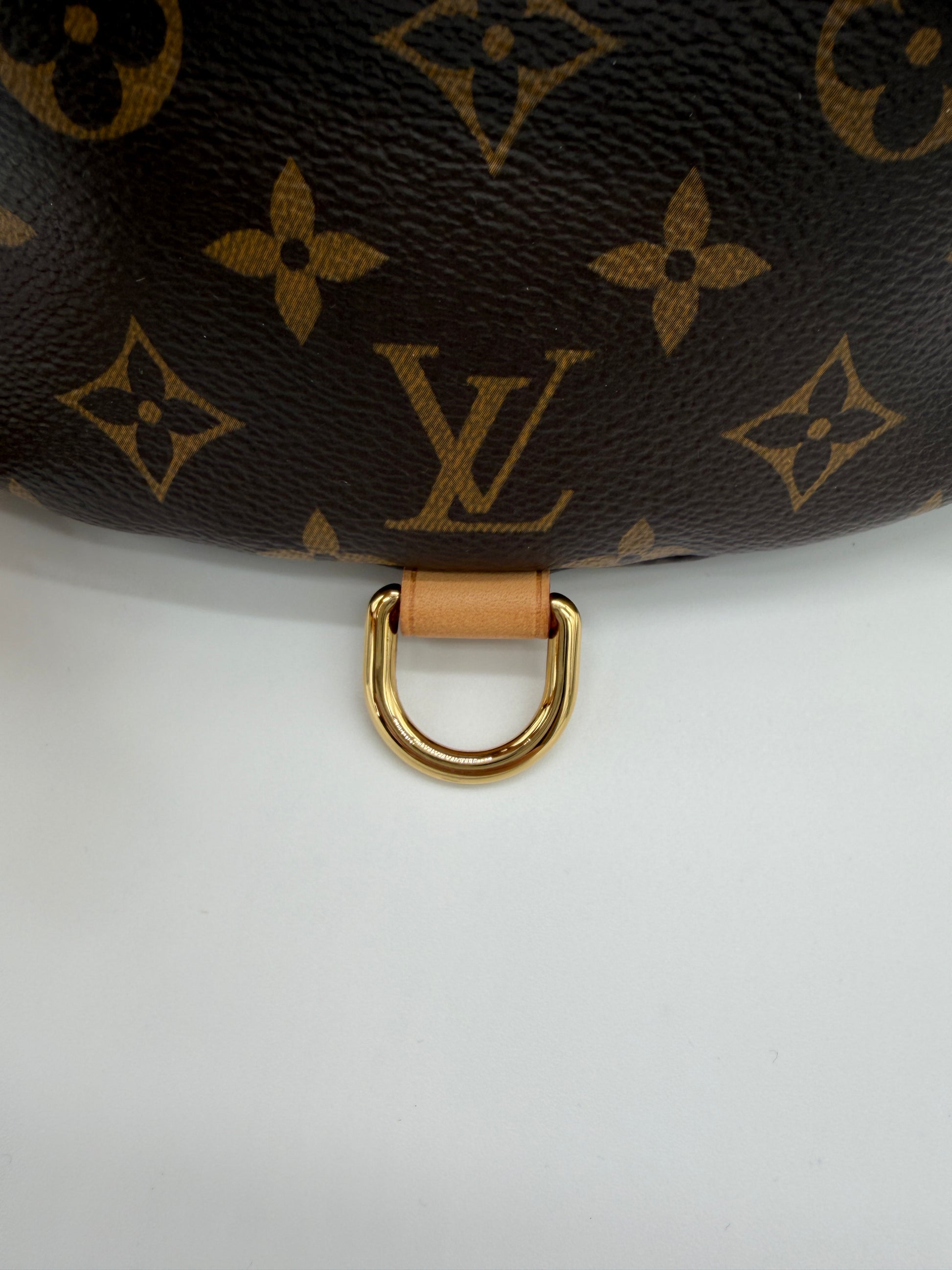 Louis Vuitton OG Monogram Bumbag
