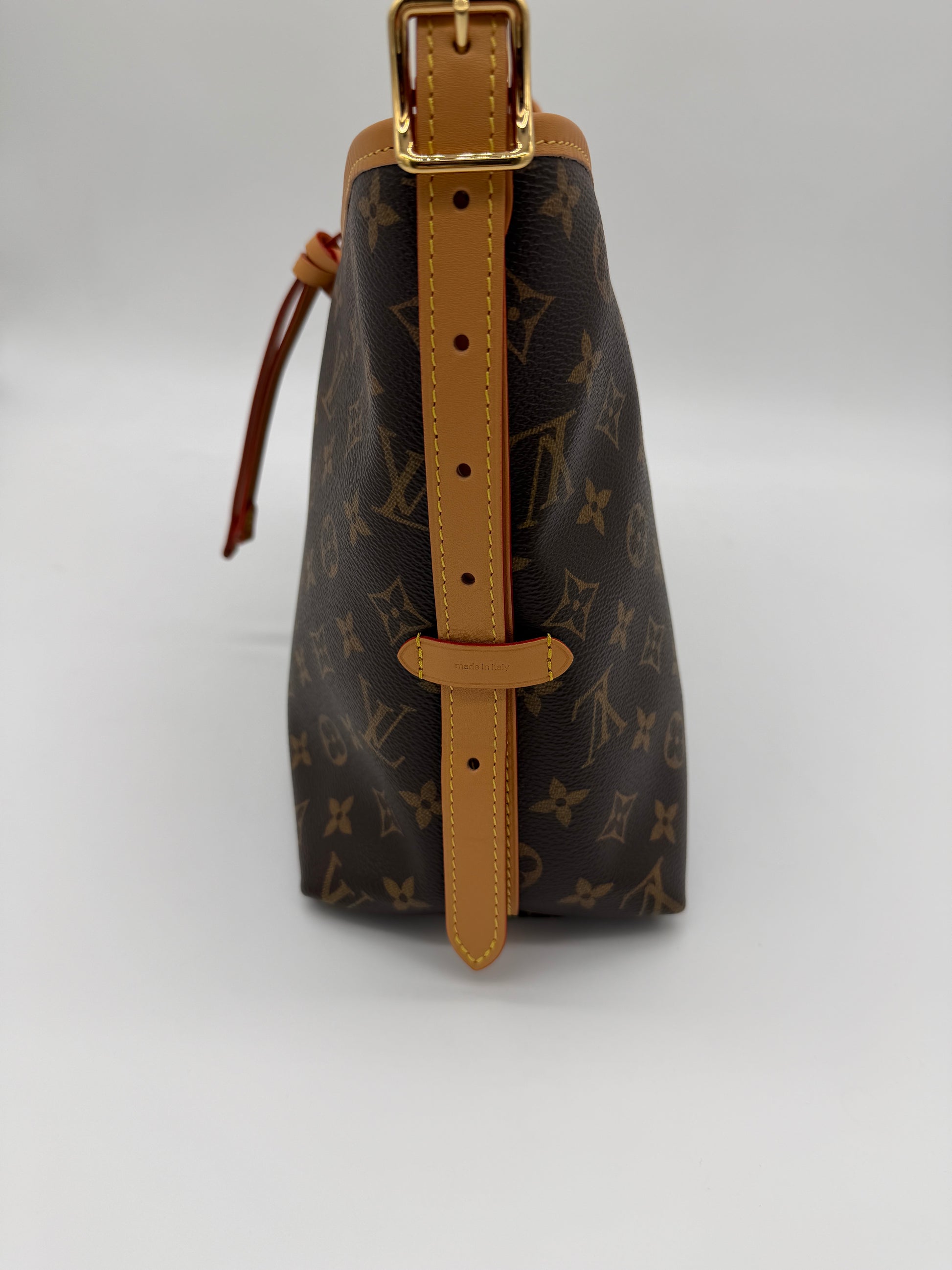 Louis Vuitton Monogram Carryall PM