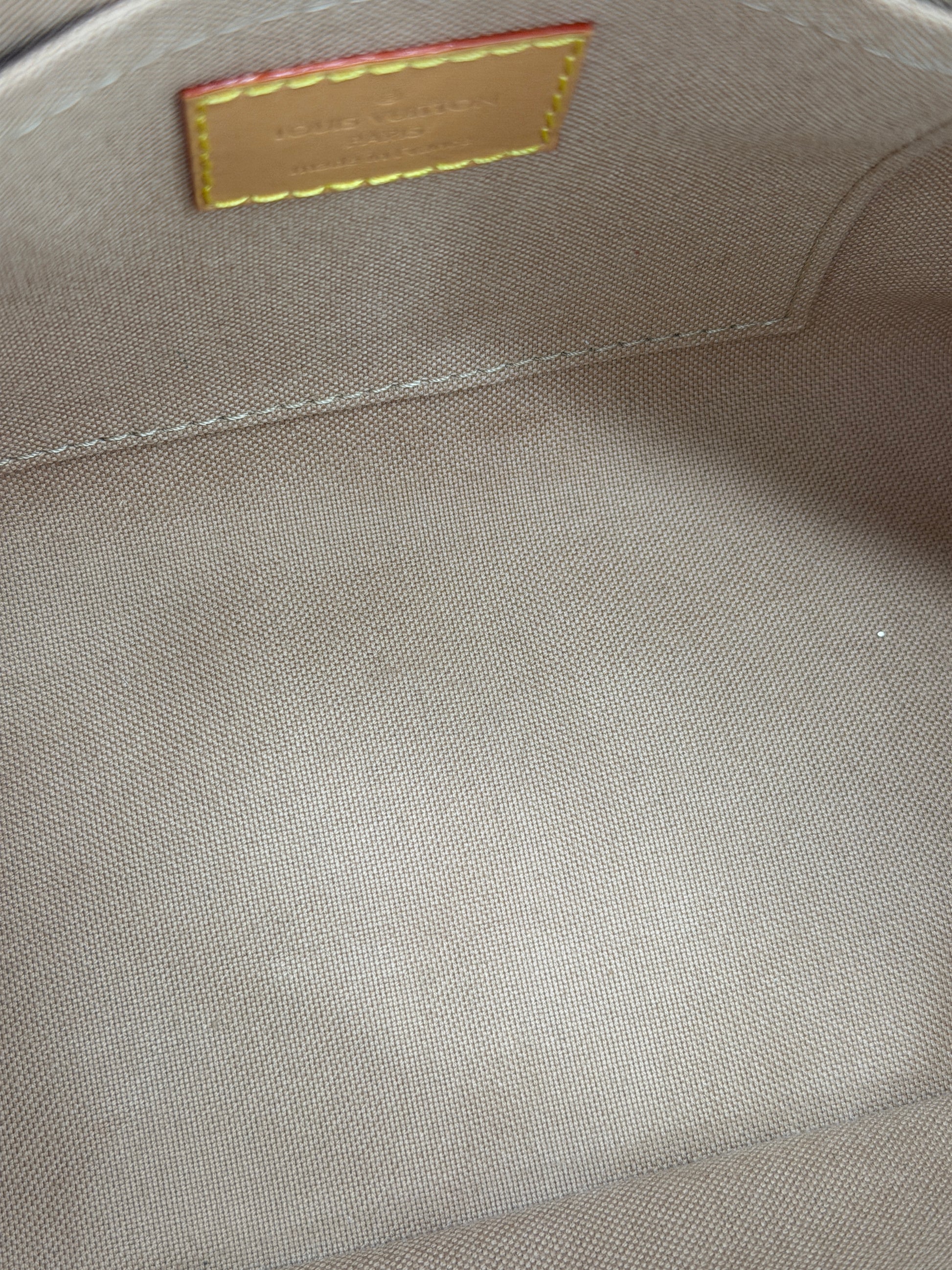 Louis Vuitton Speedy 20 Dune