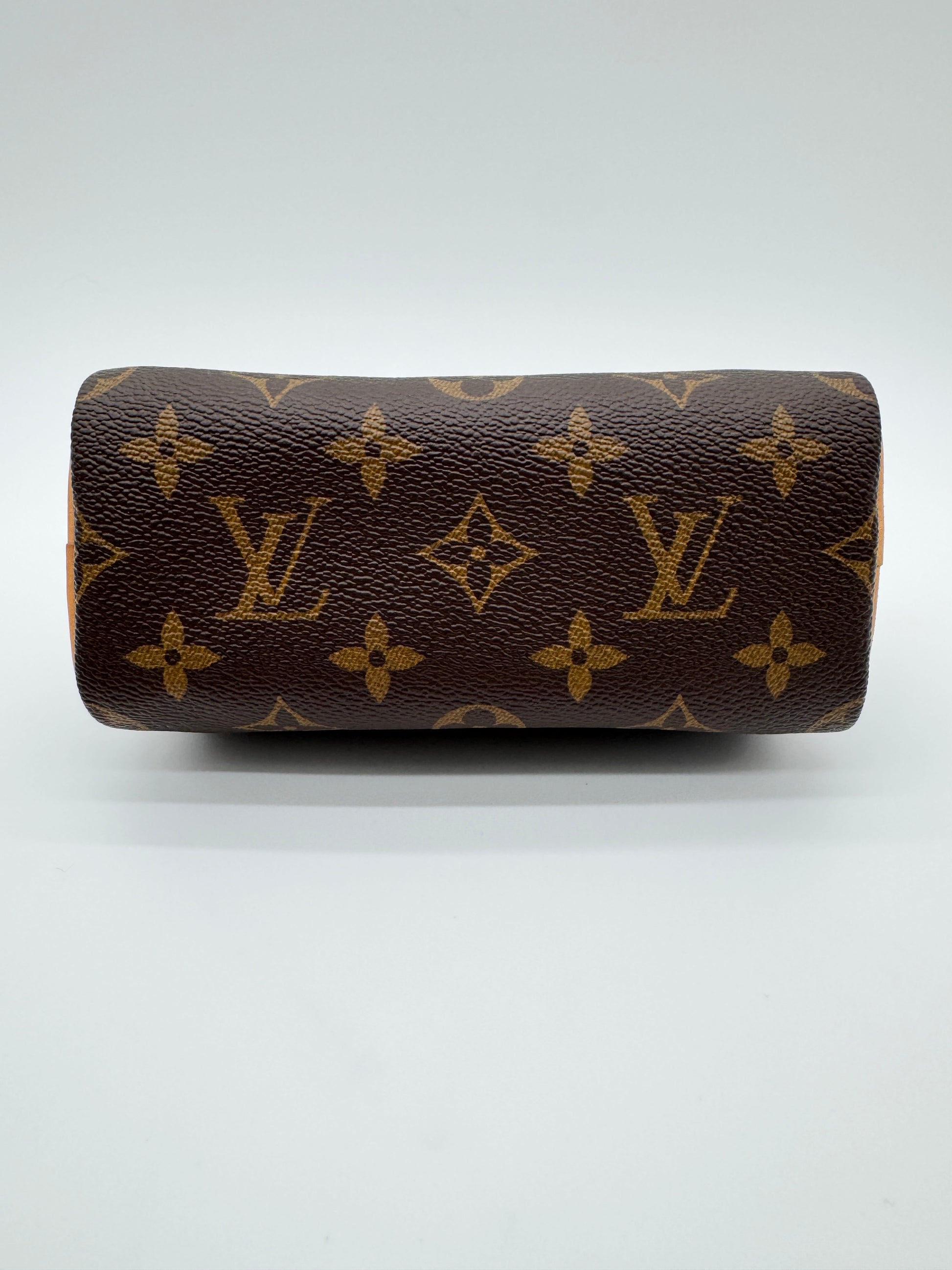 Louis Vuitton Monogram Speedy Nano