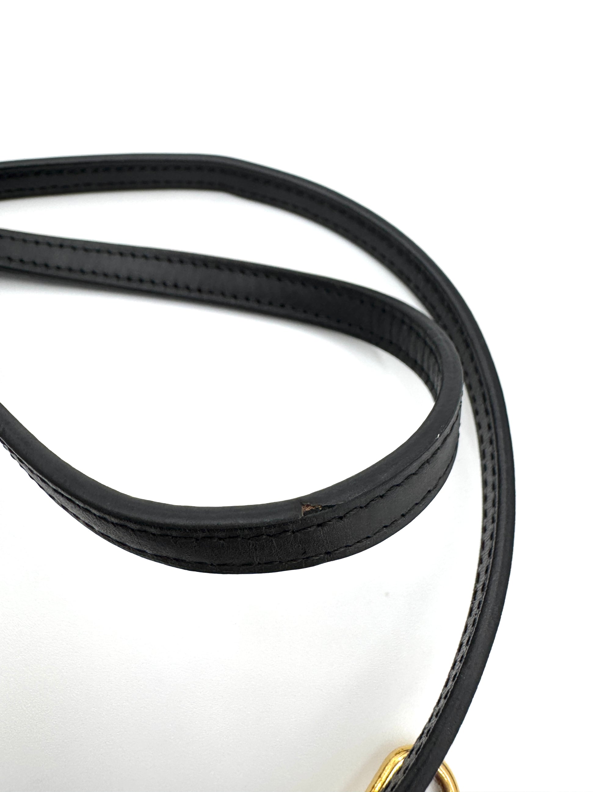 Louis Vuitton Double Zip Pochette Reverse Monogram Giant