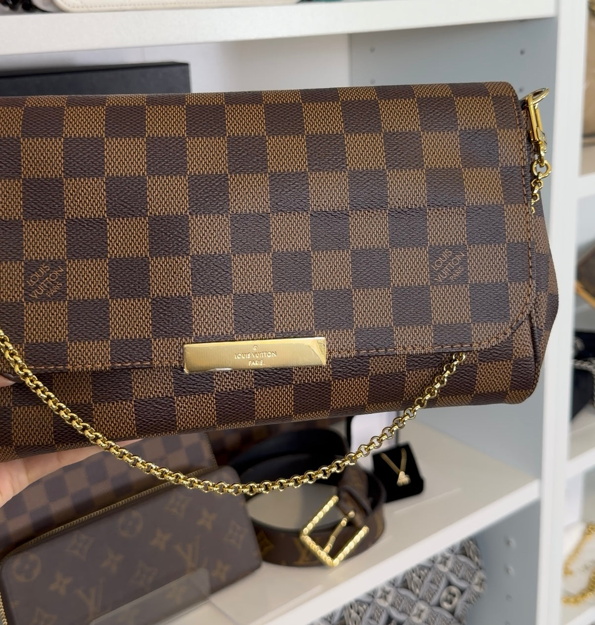 Louis Vuitton Favorite MM Damier Ebene