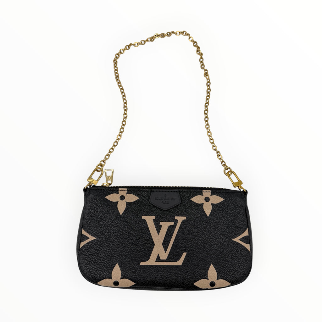 Louis Vuitton Bicolor Pochette
