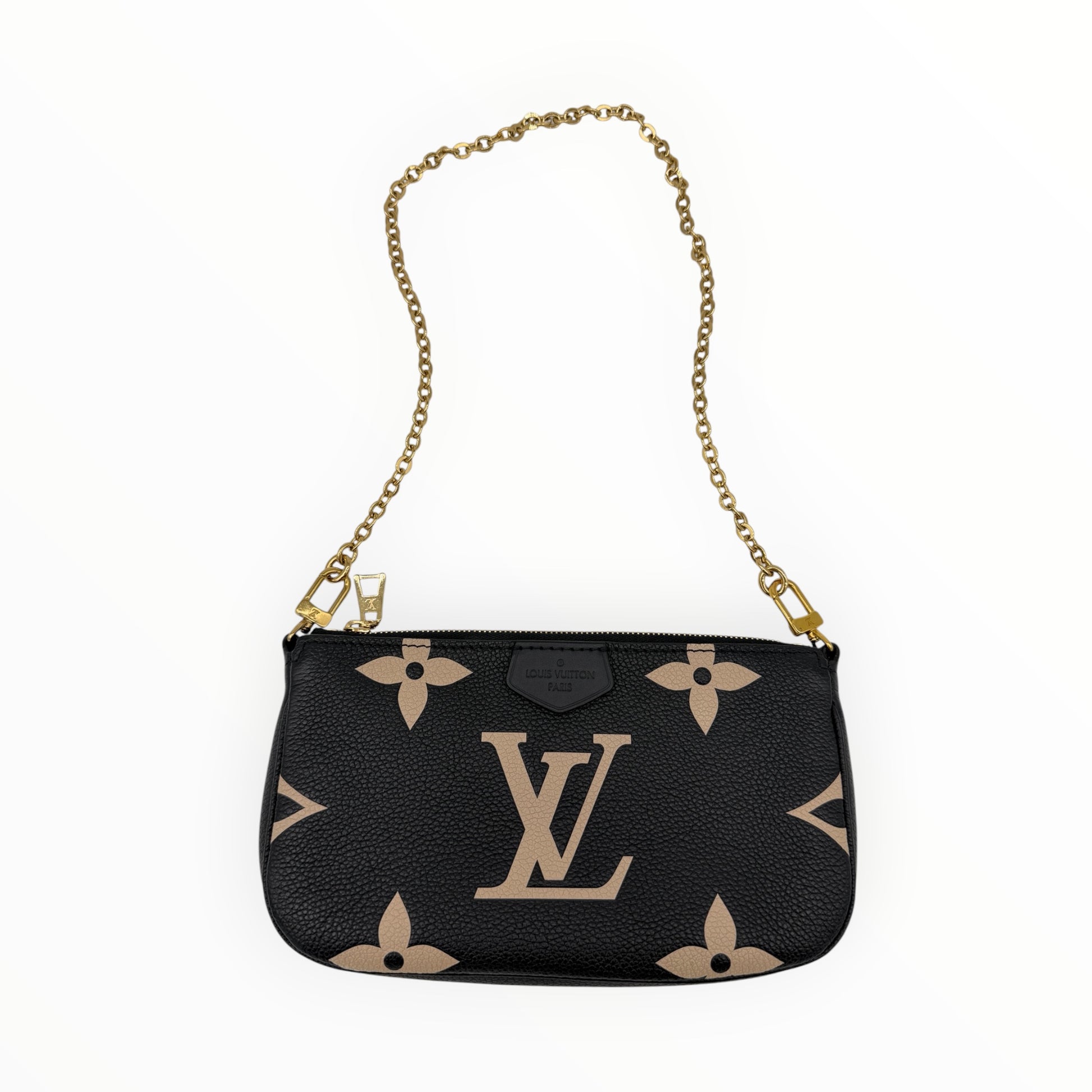 Louis Vuitton Bicolor Pochette