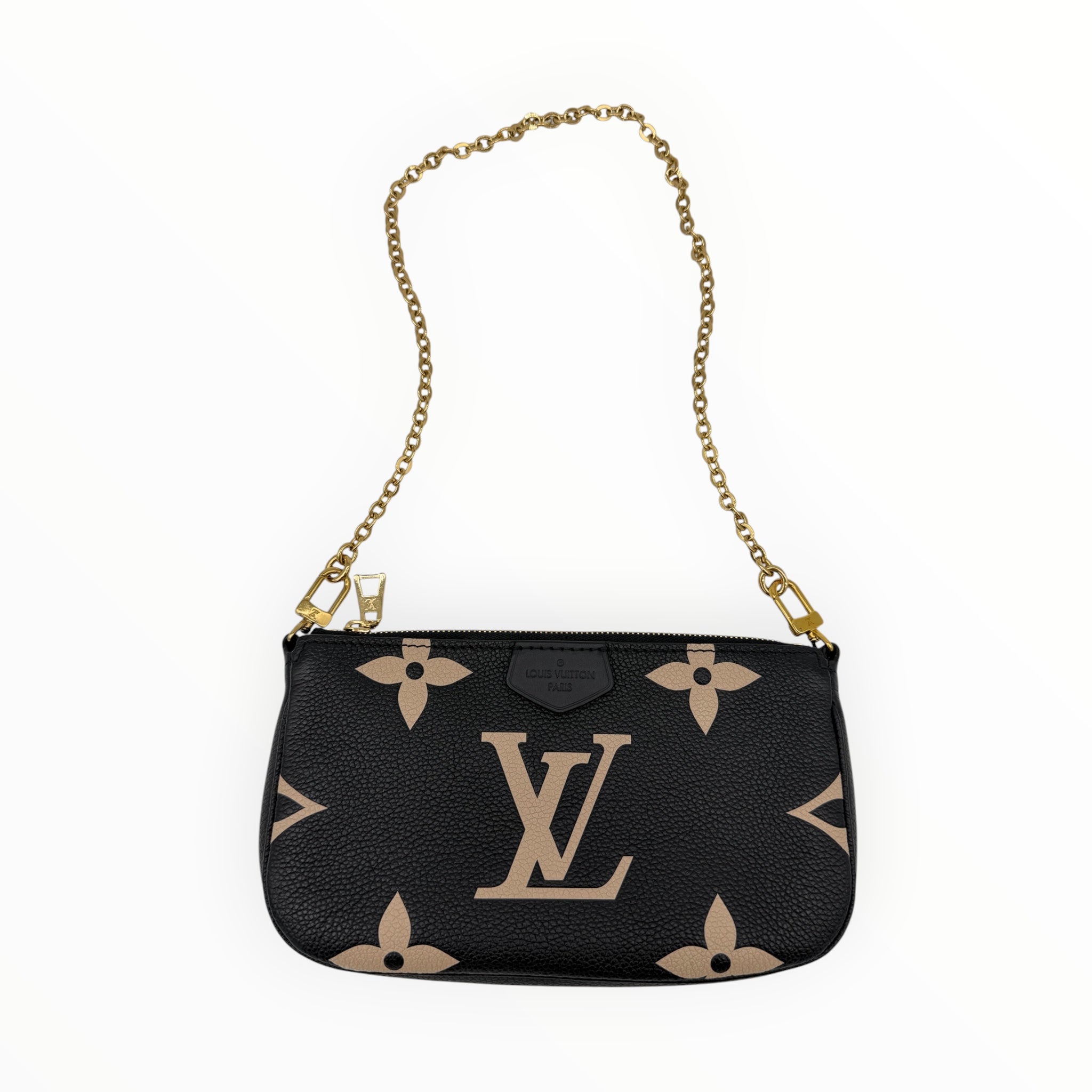 Louis Vuitton Bicolor Pochette